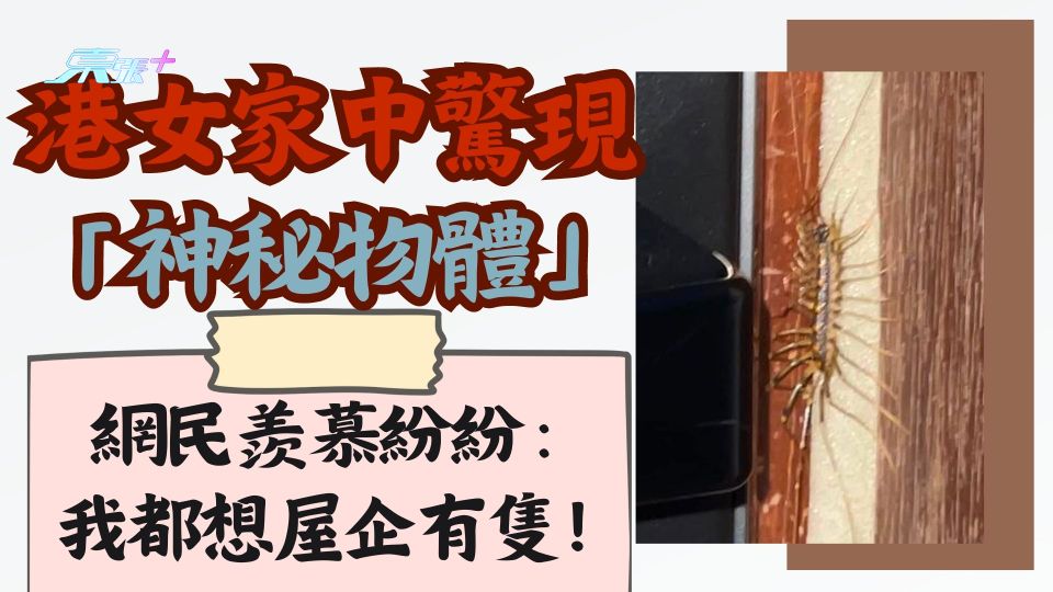 港女家中驚現「神秘物體」網民羨慕紛紛：我都想屋企有隻！