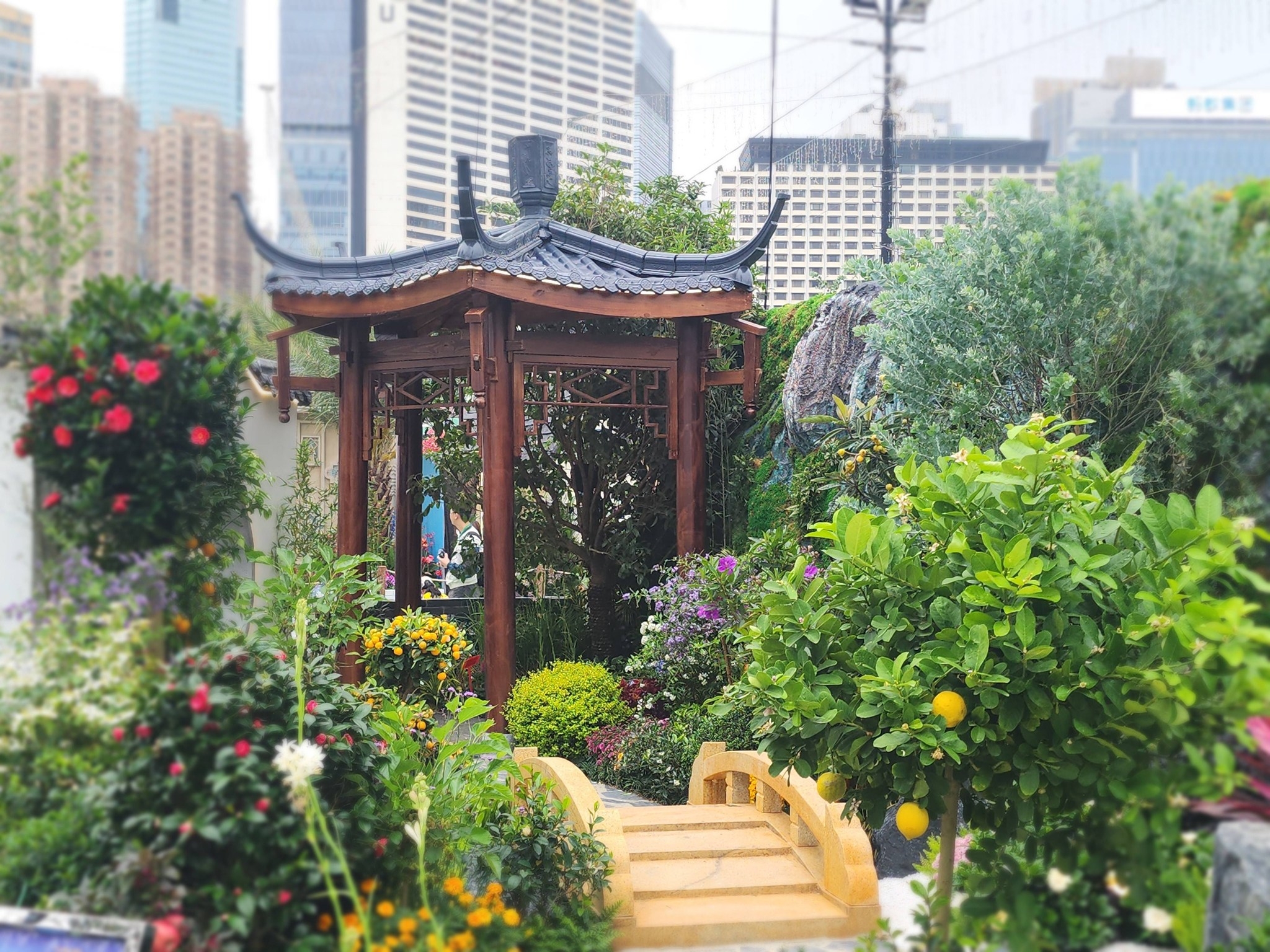 未提供相片說明。