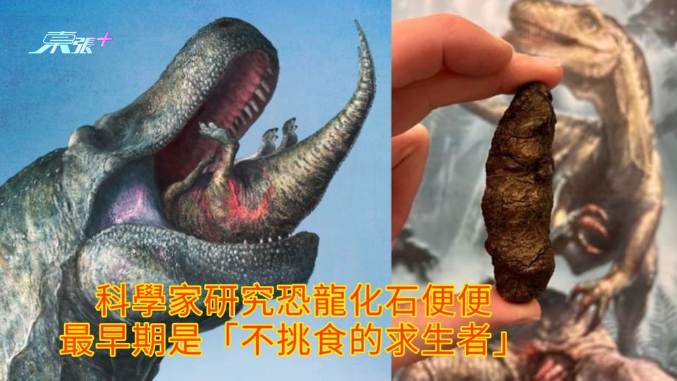 科學家研究恐龍化石便便 最早期是「不挑食的求生者」