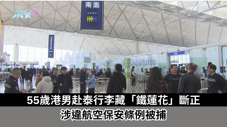 55歲港男赴泰行李藏「鐵蓮花」斷正　涉違航空保安條例被捕