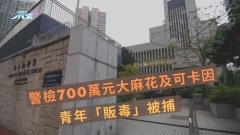 警檢700萬元大麻花及可卡因　青年「販毒」被捕