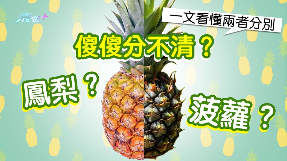 菠蘿鳳梨傻傻分不清？一文看懂兩者分別