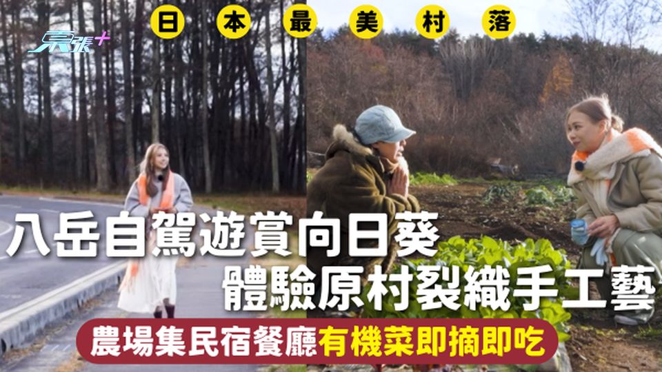 日本旅遊 | 八岳自駕遊賞向日葵 體驗原村裂織手工藝 農場集民宿餐廳有機菜即摘即吃
