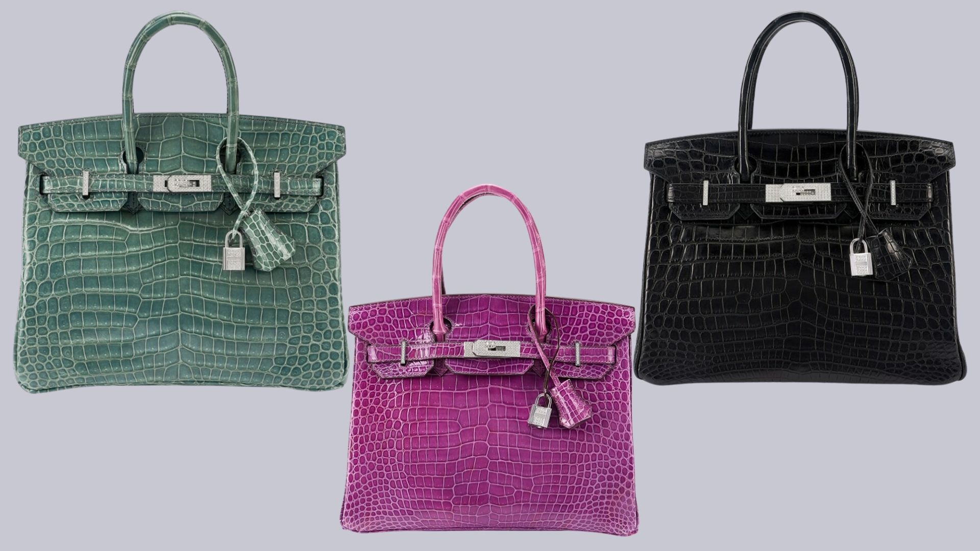 世界級Hermès 愛馬仕手袋收藏，不少鑲有鑽石白金扣及珍貴鱷魚皮製作。