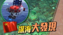 內地深海考古發現逾十萬件明代瓷器等 為中華文明開發利用南海提供實質證明