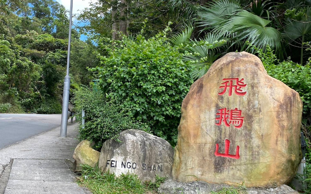 夫婦兩人上飛鵝山　丈夫公廁如廁遭賊持刀指嚇　被搶現金$3萬及Airpods