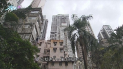 市建局西營盤重建項目截收發展意向 現場消息指收至少19份意向書