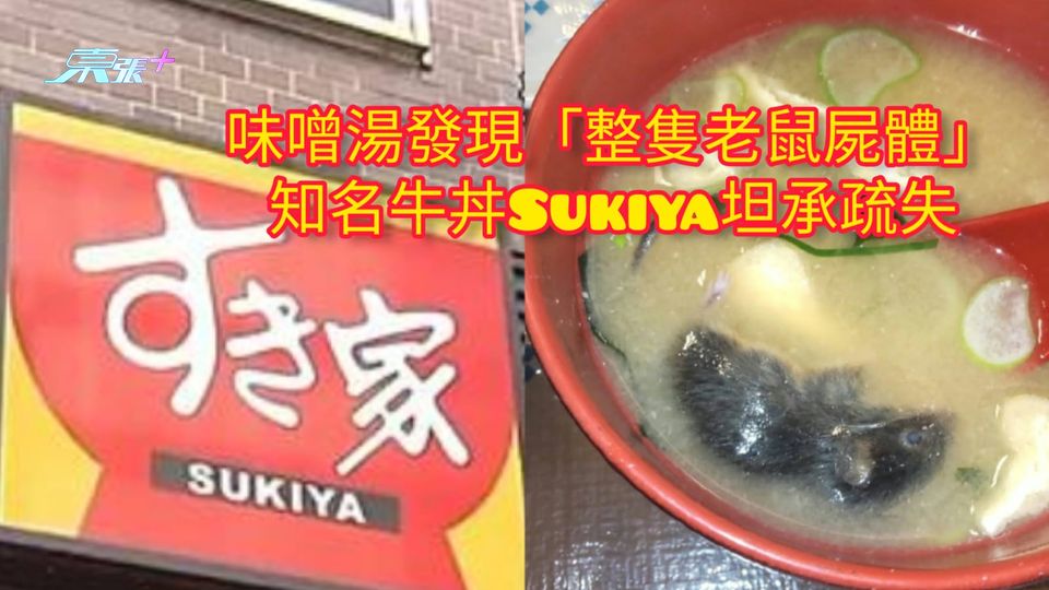 味噌湯發現「整隻老鼠屍體」 知名牛丼Sukiya坦承疏失