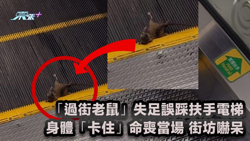 「過街老鼠」失足誤踩扶手電梯 身體「卡住」命喪當場 街坊嚇呆
