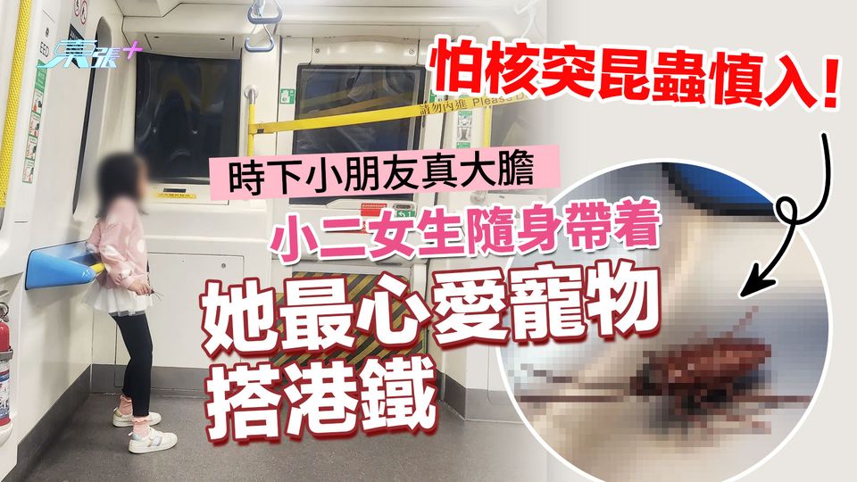 怕核突昆蟲慎入！ 時下小朋友真大膽 小二女生隨身帶着她最心愛寵物搭港鐵