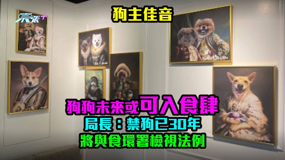 狗主佳音｜狗狗未來或可入食肆　政府：禁狗已30年　將與食環署檢視法例