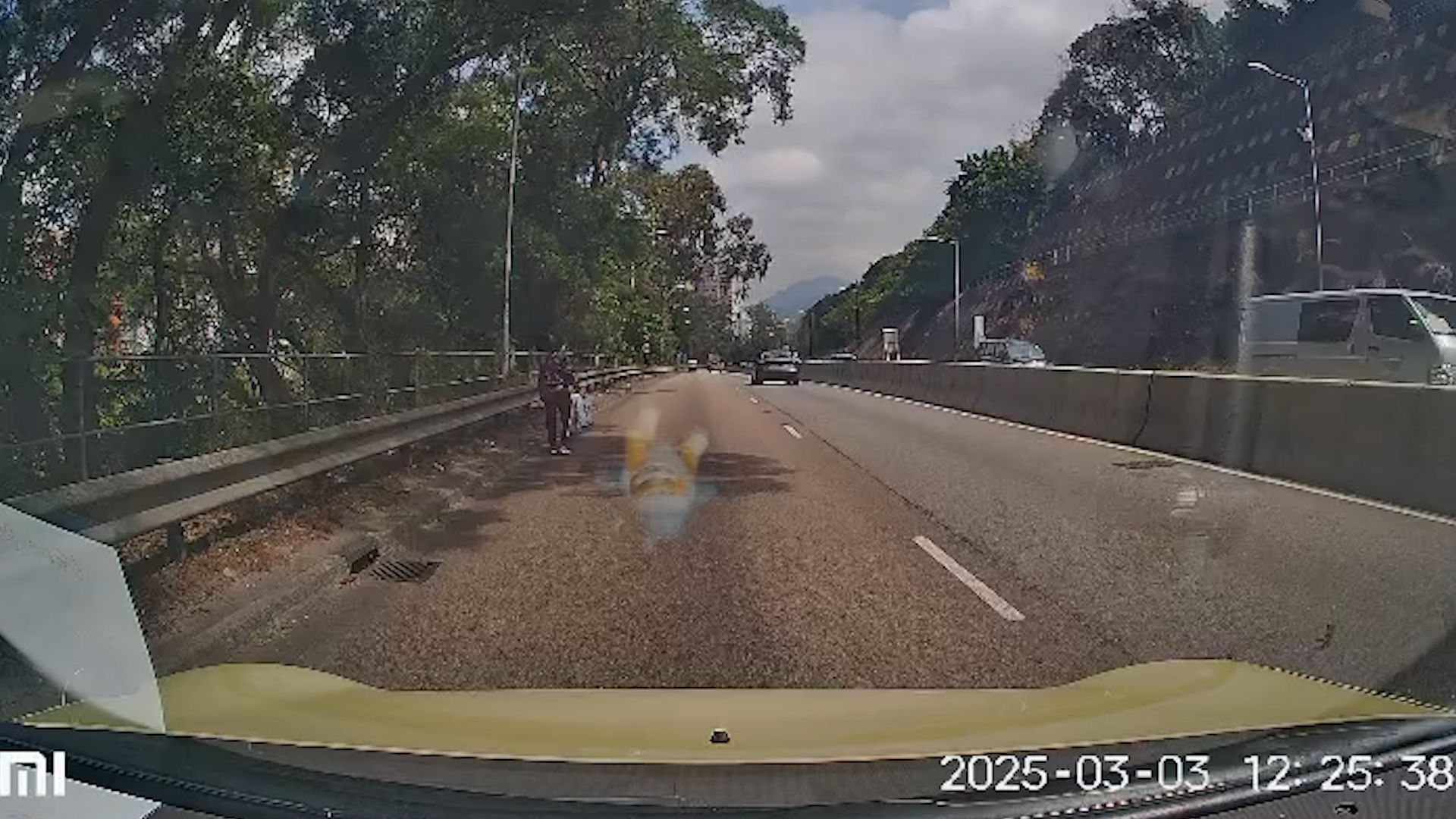 老婦獅子山隧道落錯巴士步行回家，熱心司機見狀開車送回家。(影片截圖)