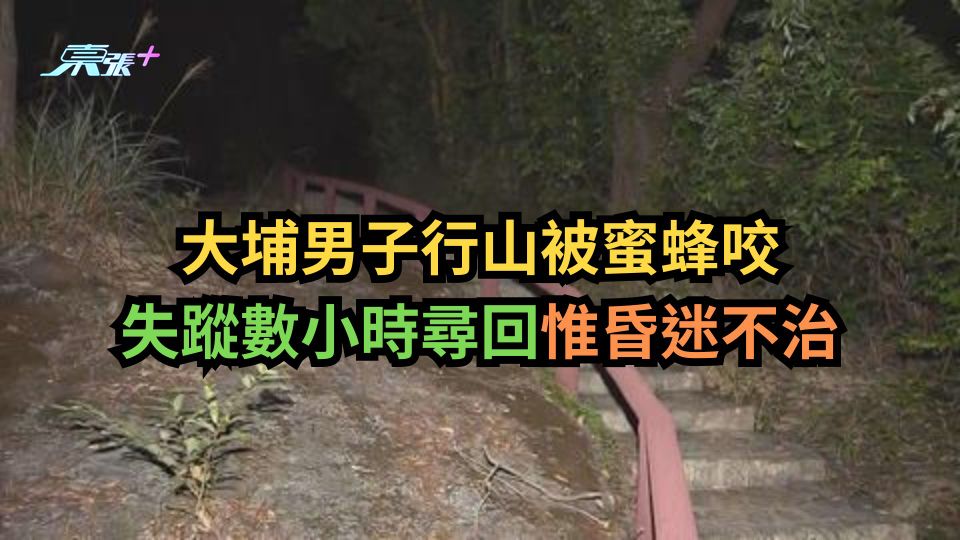 大埔男子行山被蜜蜂咬　失蹤數小時尋回惟昏迷不治