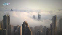 [MTV]本港提早上演霧春三月 濃霧覆蓋「石屎森林」
