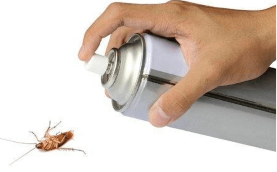 【除蟲攻略】曱甴藥冇效？係你唔識得用！點評4款滅曱甴方法！