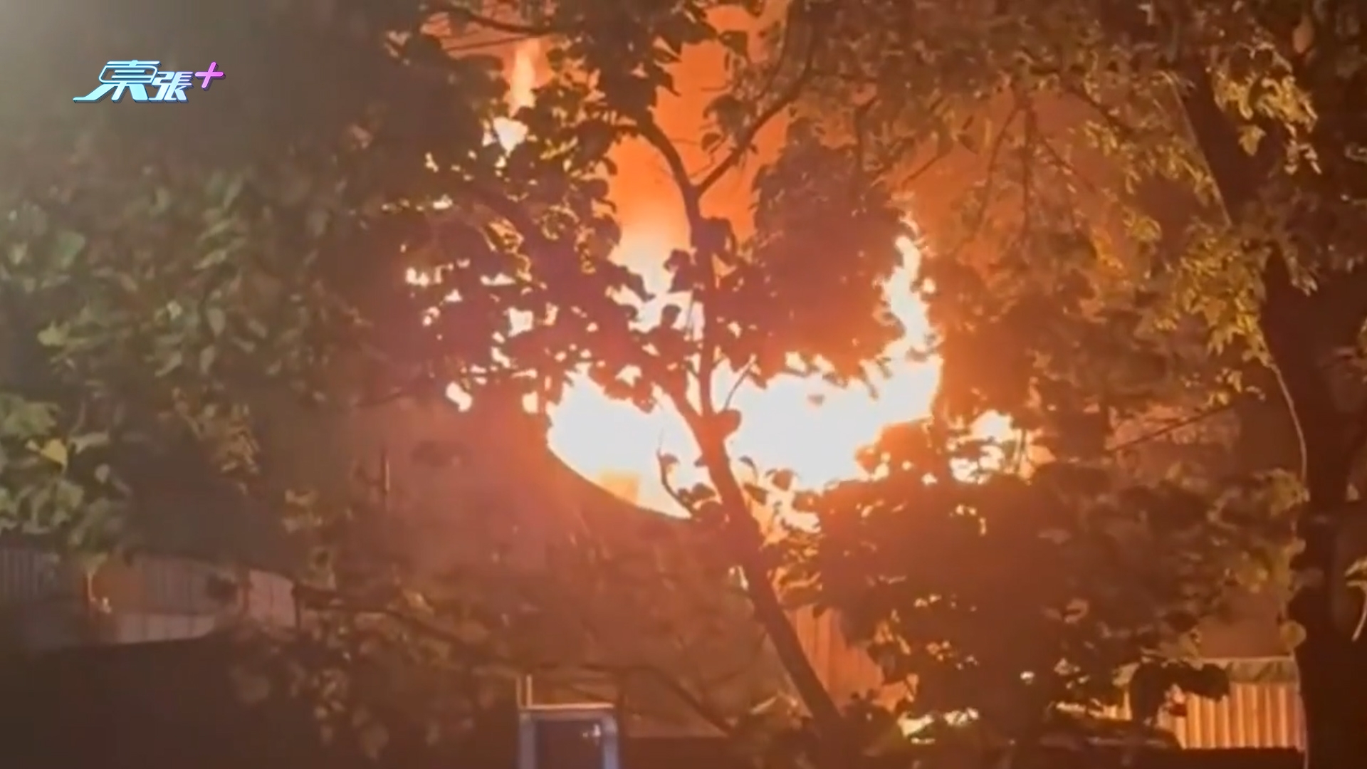 荃灣城門道車房起火濃煙席捲半空　現場傳爆炸聲　一隻狗最獲救