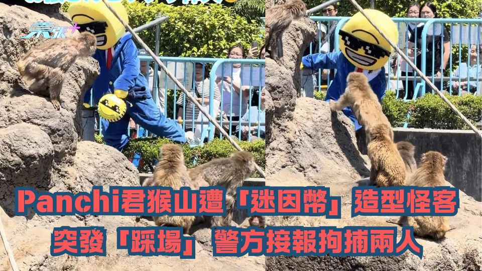 Panchi君猴山遭「迷因幣」造型怪客突發「踩場」 警方接報拘捕兩人