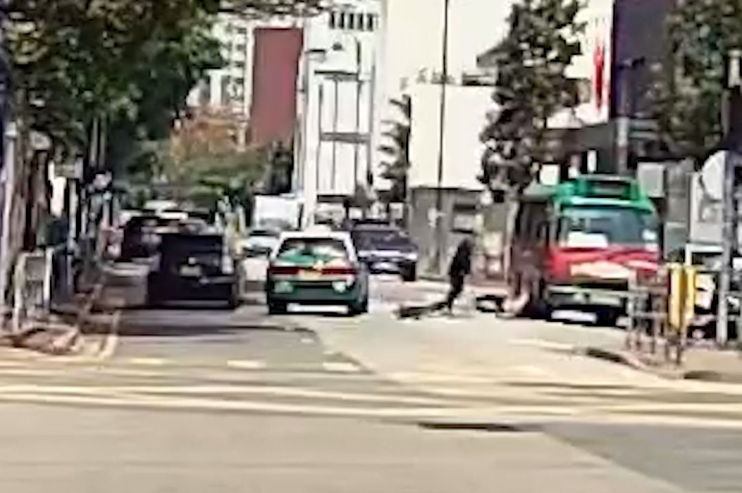 馬路MMA｜元朗單車友大戰綠的司機，互毆打到撞落小巴勁精彩。