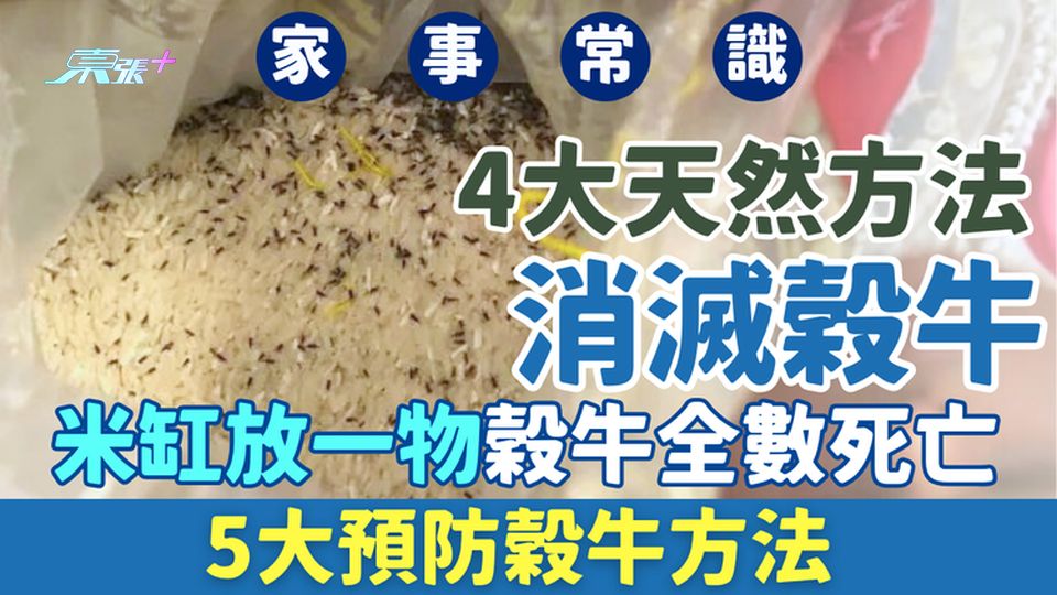 家事常識｜4大天然方法消滅穀牛 米缸放一物穀牛全數死亡 / 放3款香料有效驅趕 5大預防穀牛方法