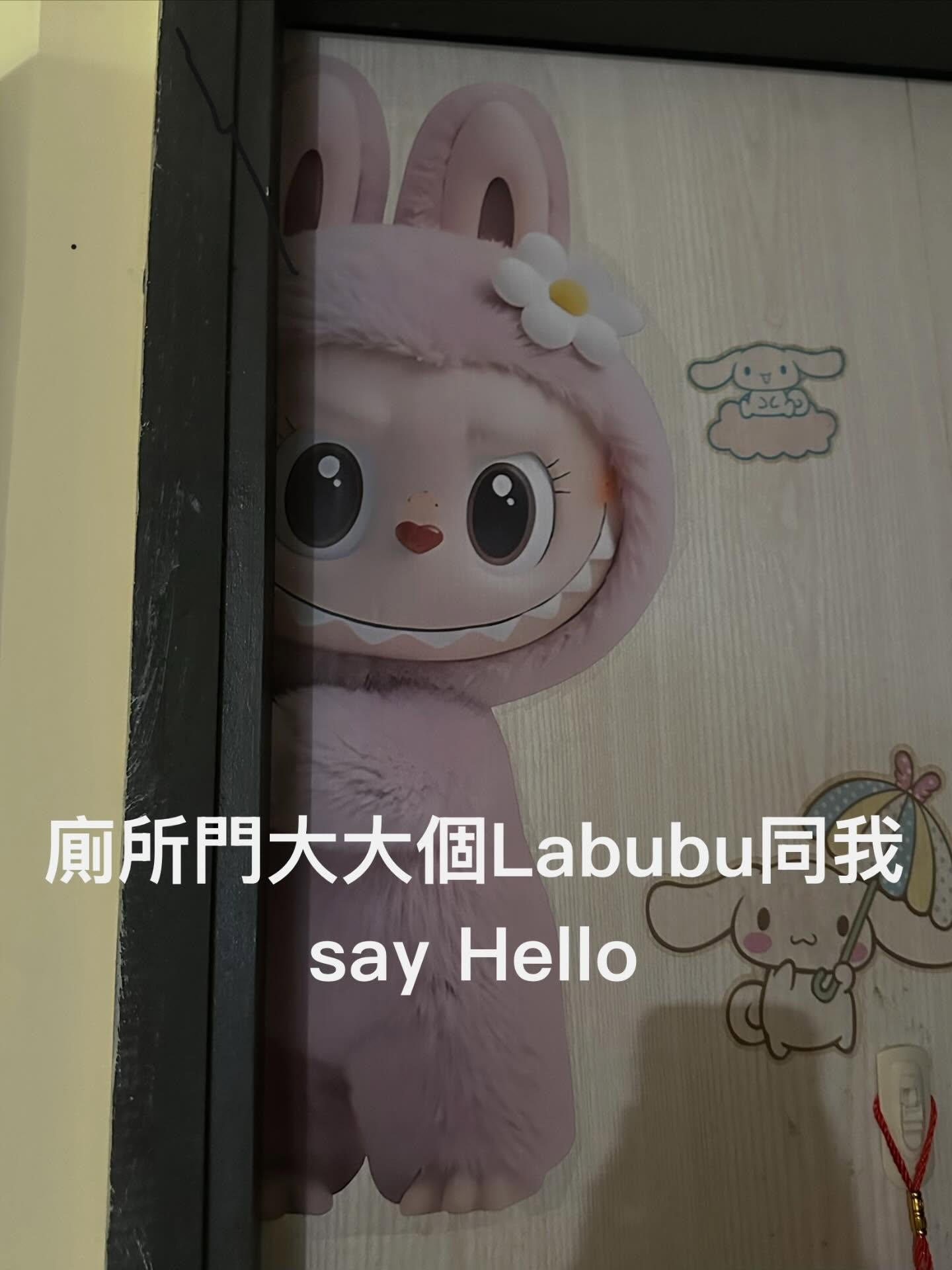 港媽拼多多網購「拼上腦」瘋狂買料做裝修師傅　網民驚呼：遲早甲醛中毒 (Threads@lohhh.39___)