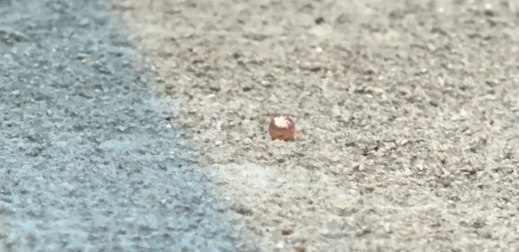 西環女途人疑遭氣槍射傷額頭流血送院，現場遺下金屬珠，警方正調查事件。