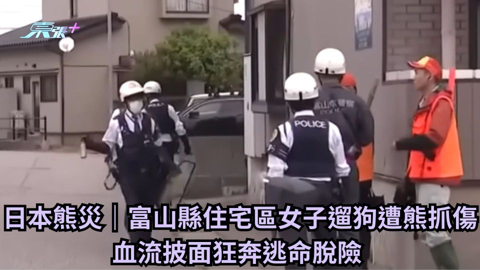 日本熊災｜富山縣住宅區女子遛狗遭熊抓傷 血流披面狂奔逃命脫險