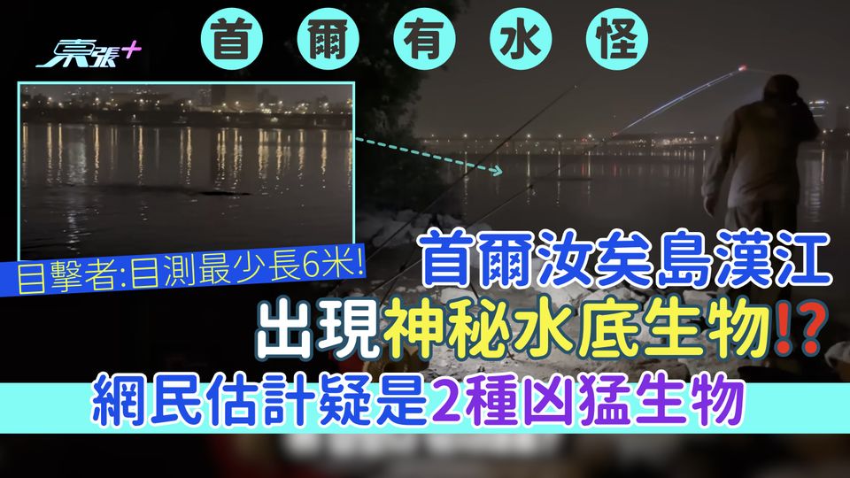 神秘現象｜首爾汝矣島漢江出現神秘水底生物？目擊者：目測最少長6米! 網民估計疑是2種凶猛生物