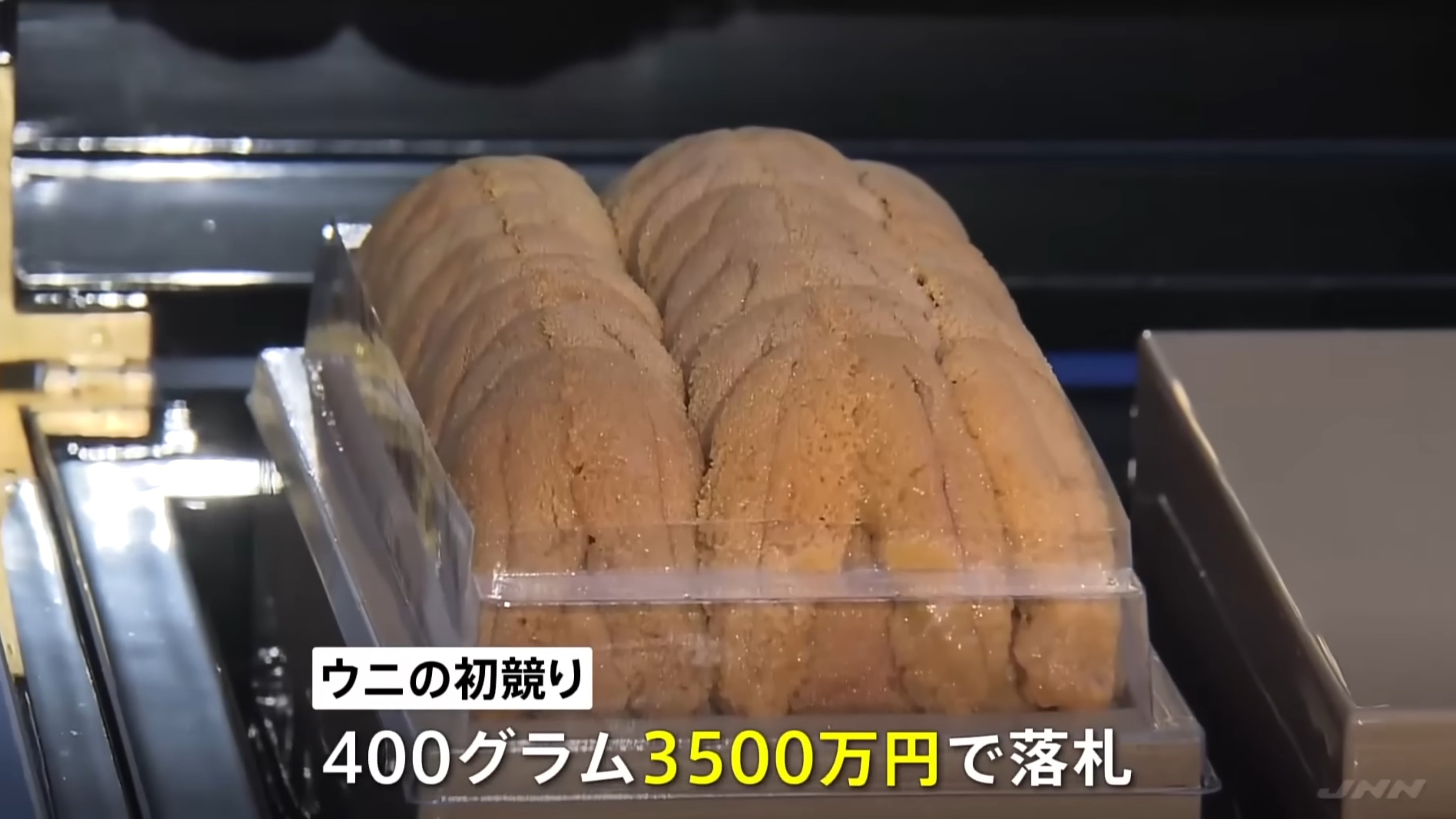 豐州市場的海膽「初競標」也創出最高價。（YouTube影片截圖／TBS NEWS DIG Powered by JNN）