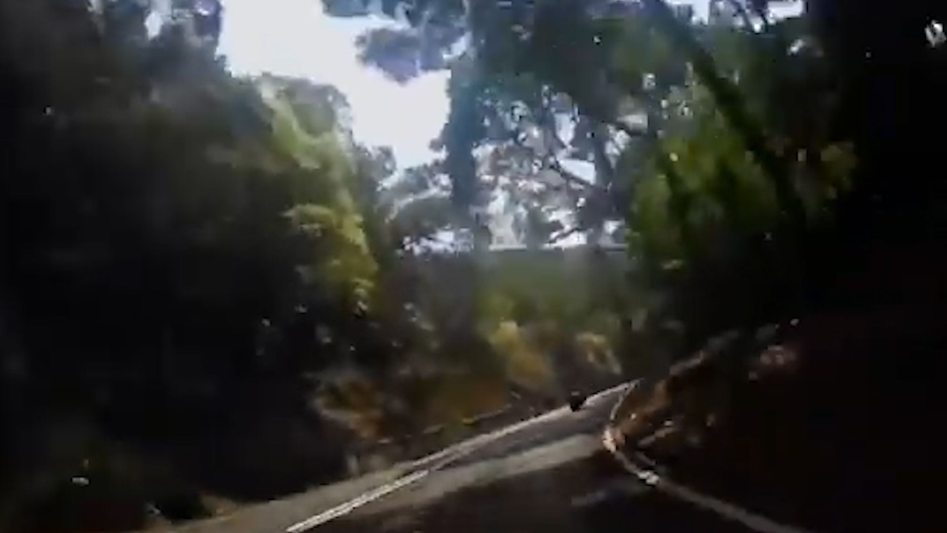 荃錦公路鐵騎士彎位失事翻滾6圈，電單車撼向山邊再反彈。