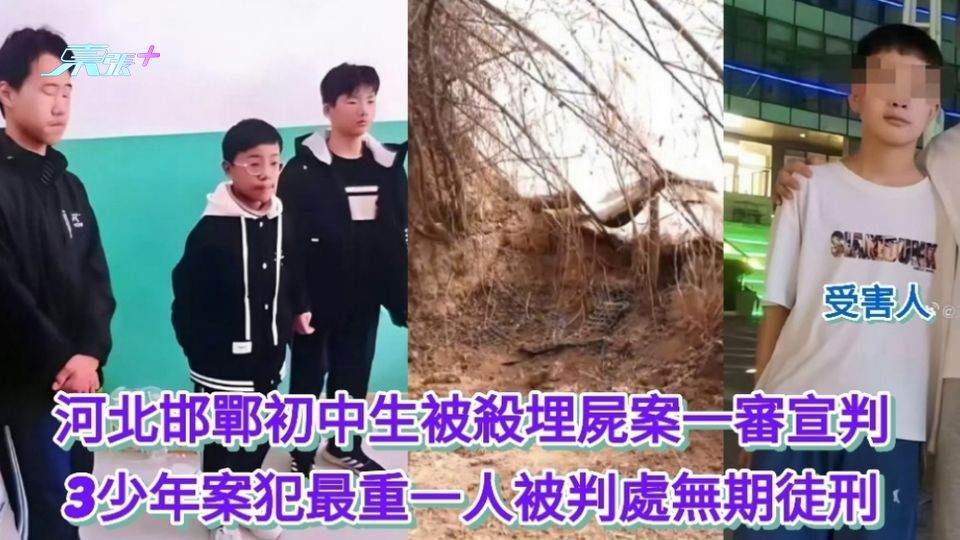 河北邯鄲初中生被殺埋屍案一審宣判 3少年案犯最重一人被判處無期徒刑