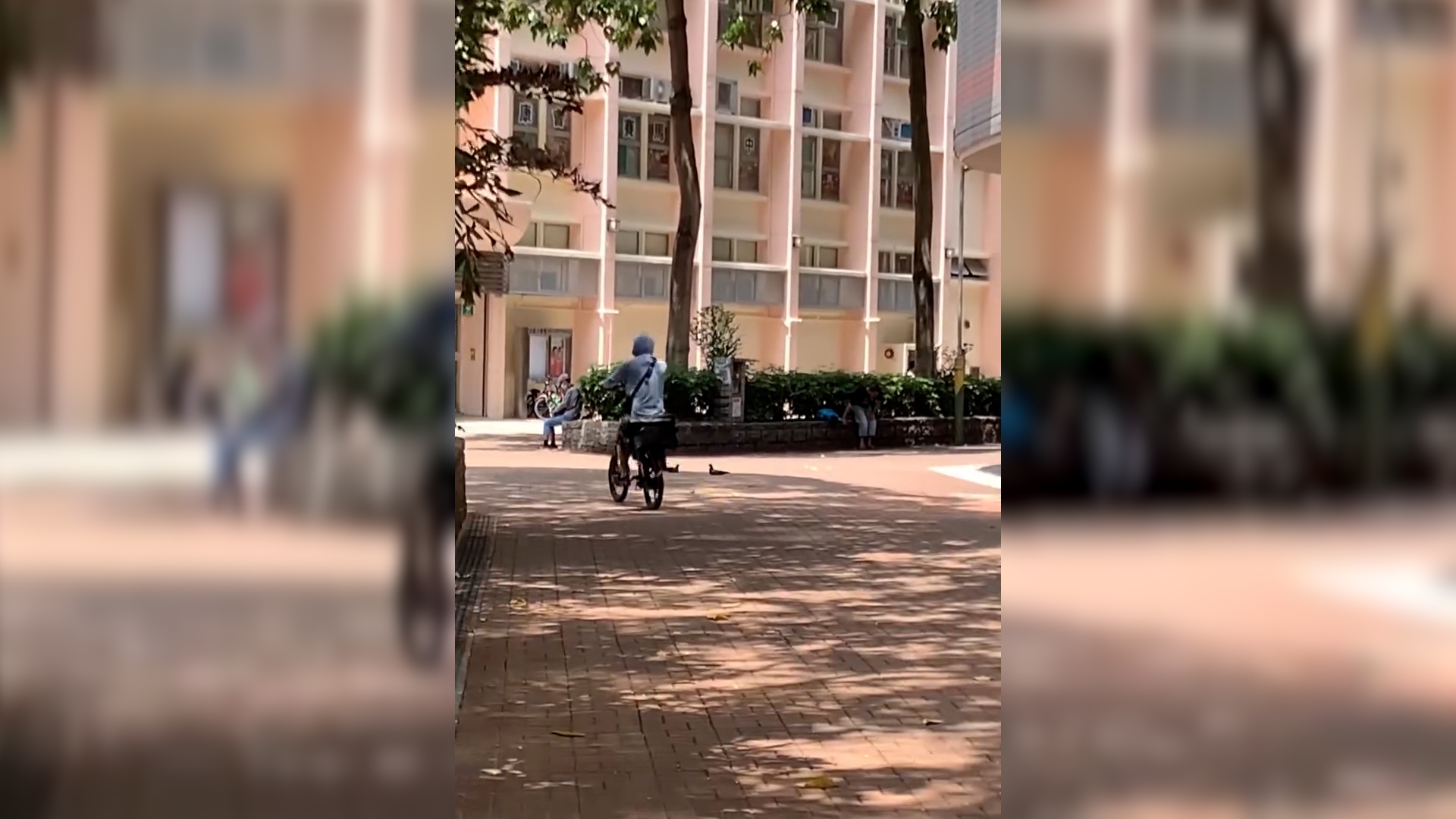 東張西望報料｜北區大會堂行人路變「外賣快線」　電動單車送餐穿梭人群