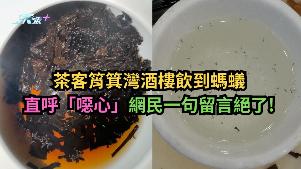 有圖｜茶客筲箕灣酒樓飲到螞蟻直呼「噁心」　網民一句留言絕了！