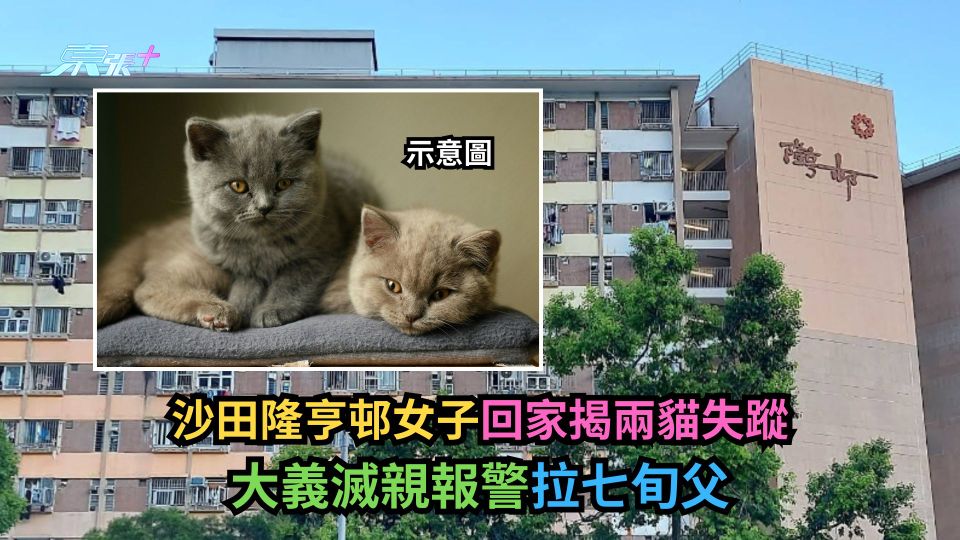 沙田隆亨邨女子回家揭兩愛貓失蹤　大義滅親報警拉七旬父-東張+