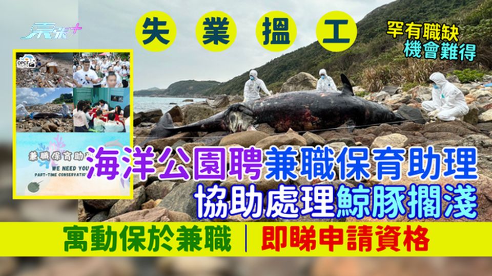 失業搵工｜海洋公園聘兼職保育助理 機會難得!協助處理鯨豚擱淺/寓動保於兼職/即睇申請資格