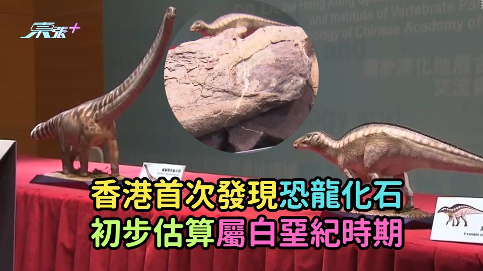 香港首次發現恐龍化石  初步估算屬白堊紀時期