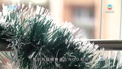 【財經透視】寓興趣於工作的巴士迷