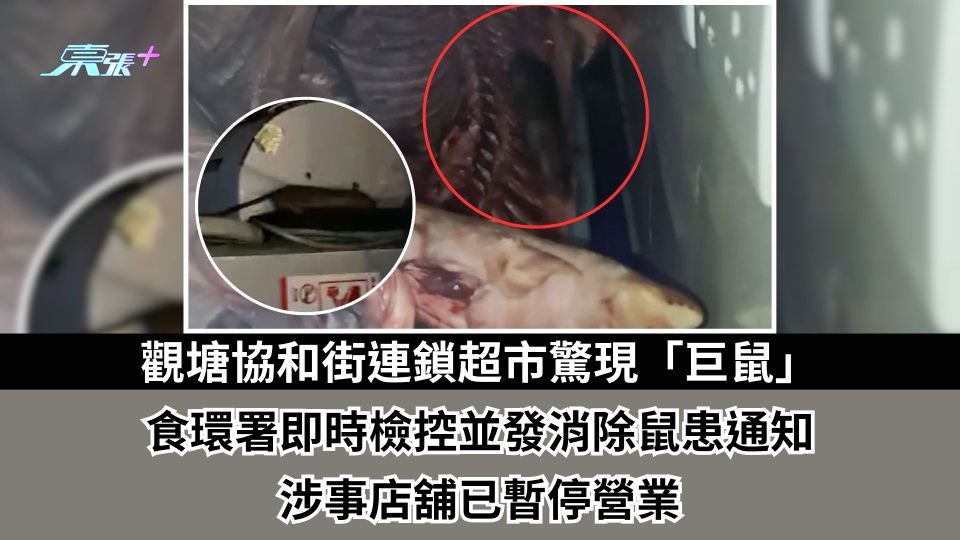 東張西望跟進｜觀塘協和街連鎖超市驚現「巨鼠」 食環署即時檢控並發消除鼠患通知  涉事店舖已暫停營業