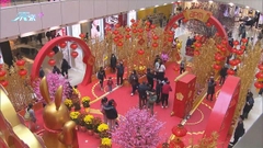 年廿八起七天逾9萬人次內地旅客訪港 零售業界指「旺丁又旺財」