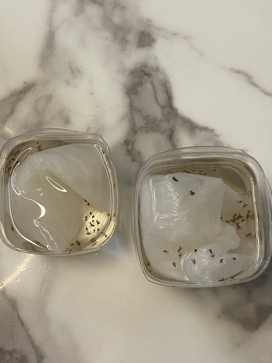 No photo description available.