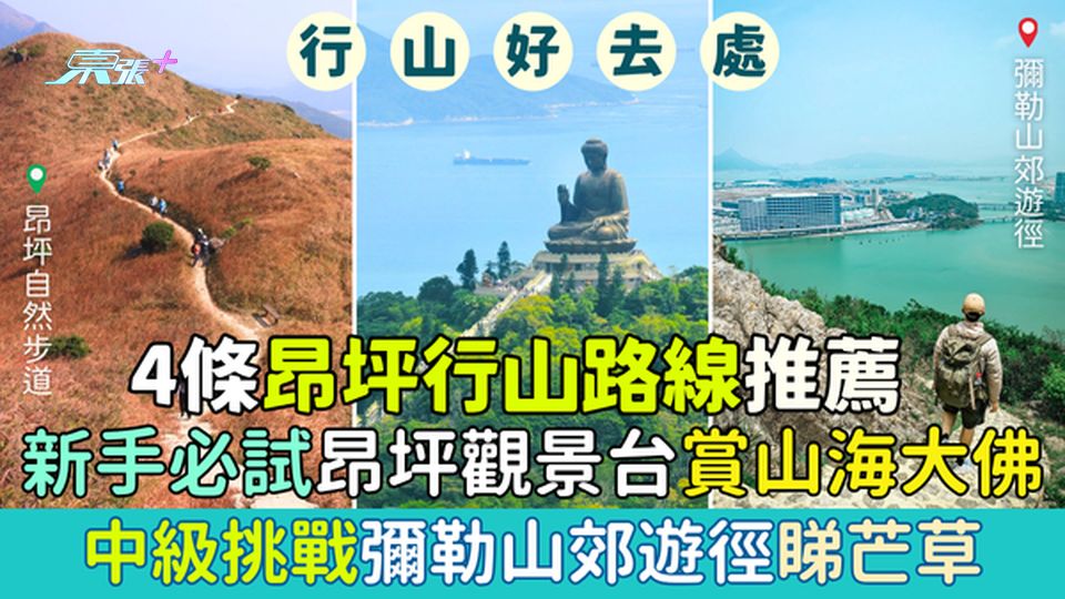 行山好去處｜秋日4條昂坪行山路線推薦 新手必試昂坪觀景台賞山海大佛 中級挑戰彌勒山郊遊徑睇芒草
