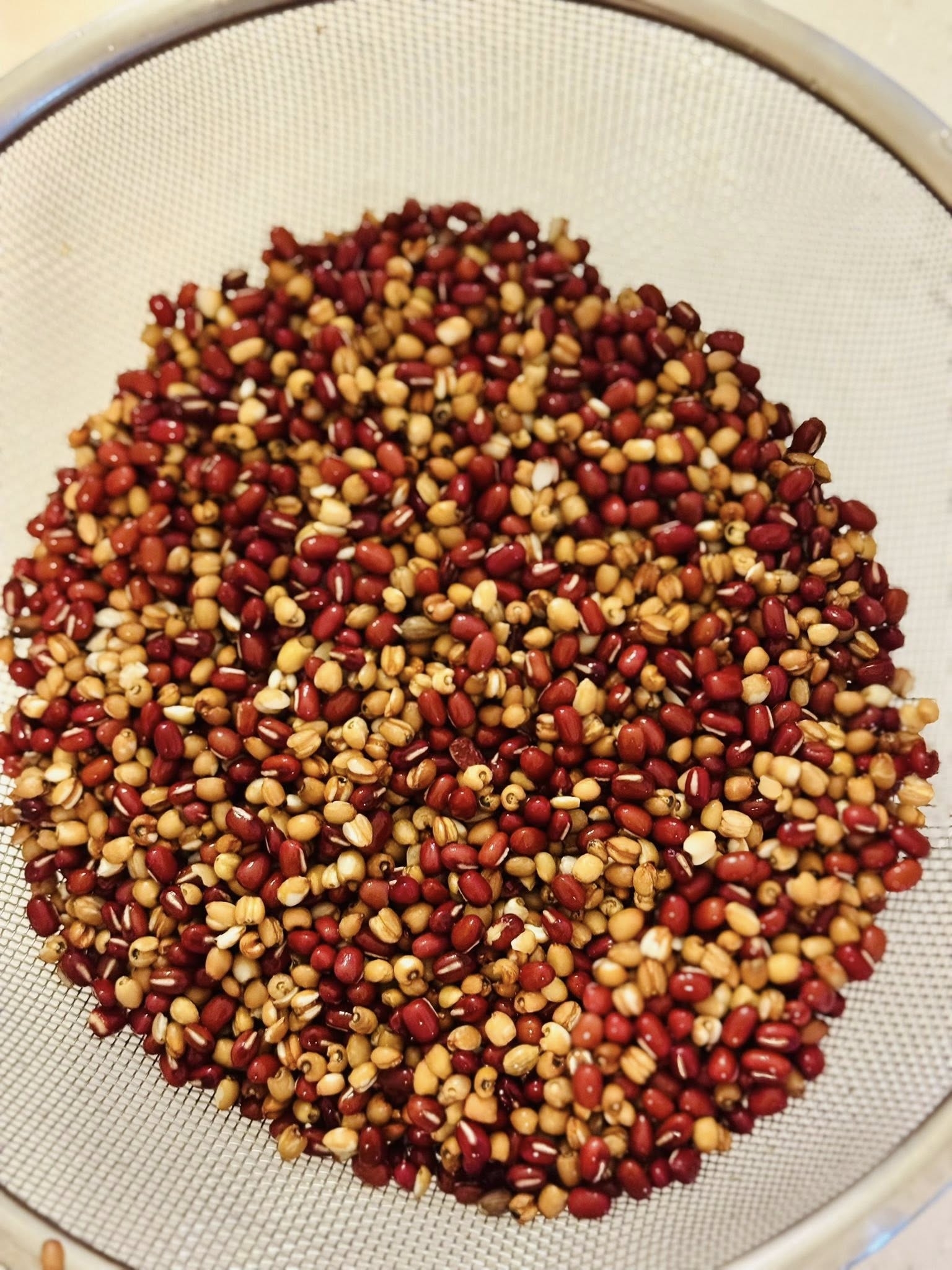 May be an image of corn