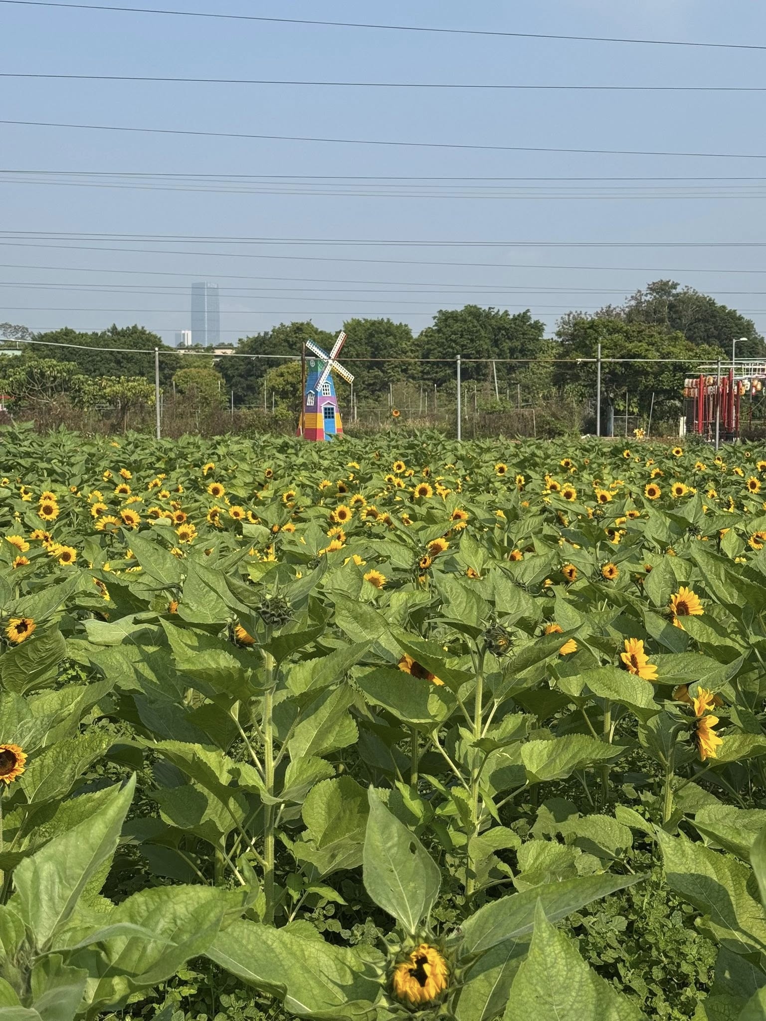 No photo description available.