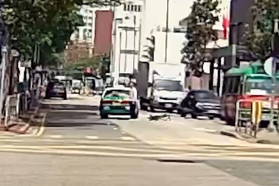 馬路MMA｜元朗單車友大戰綠的司機，互毆打到撞落小巴勁精彩。