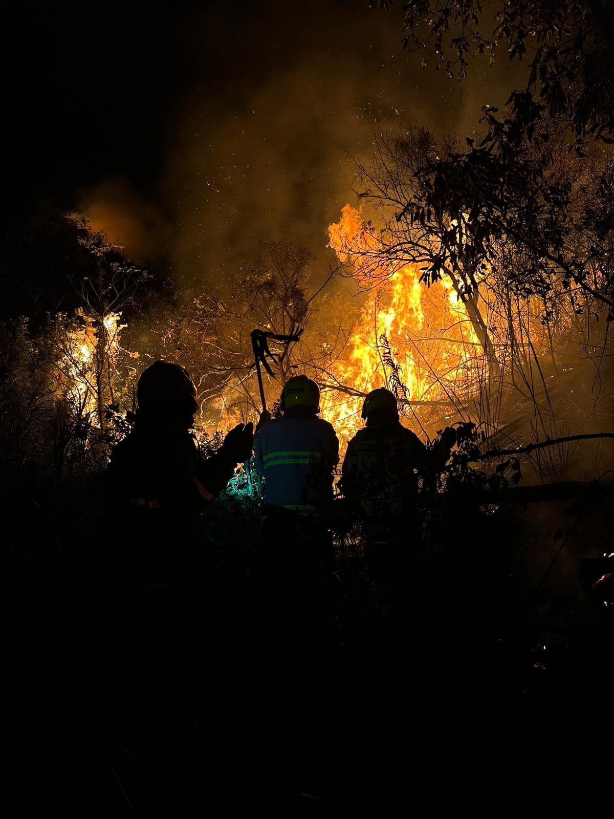 消防員在山火現場灌救。網絡圖片