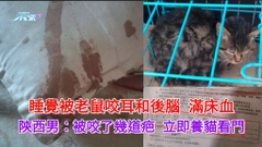 睡覺被老鼠咬耳和頭滿床血 陝西男：被咬了幾道疤