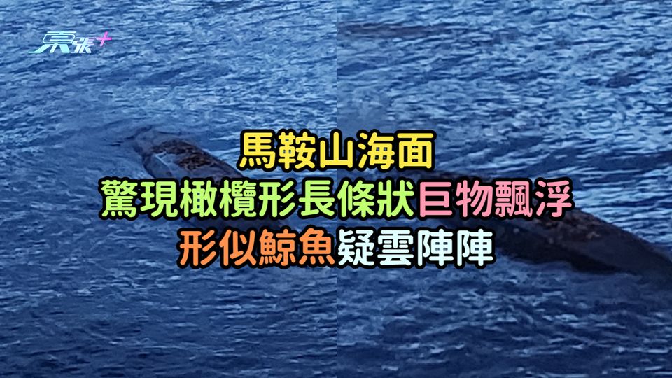 馬鞍山海面驚現橄欖形長條狀巨物飄浮  形似鯨魚疑雲陣陣
