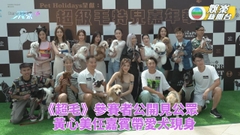 超級毛特兒大賽｜主持參賽者帶愛犬公開現身 黃心美任嘉賓拒答細妹近況