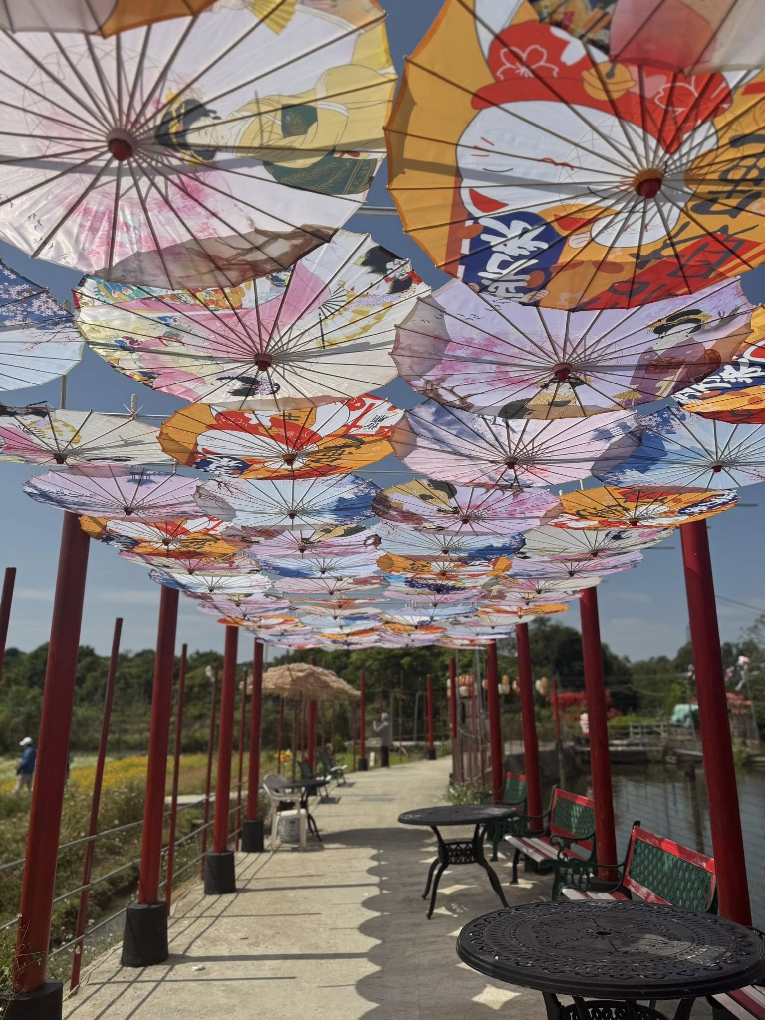 No photo description available.