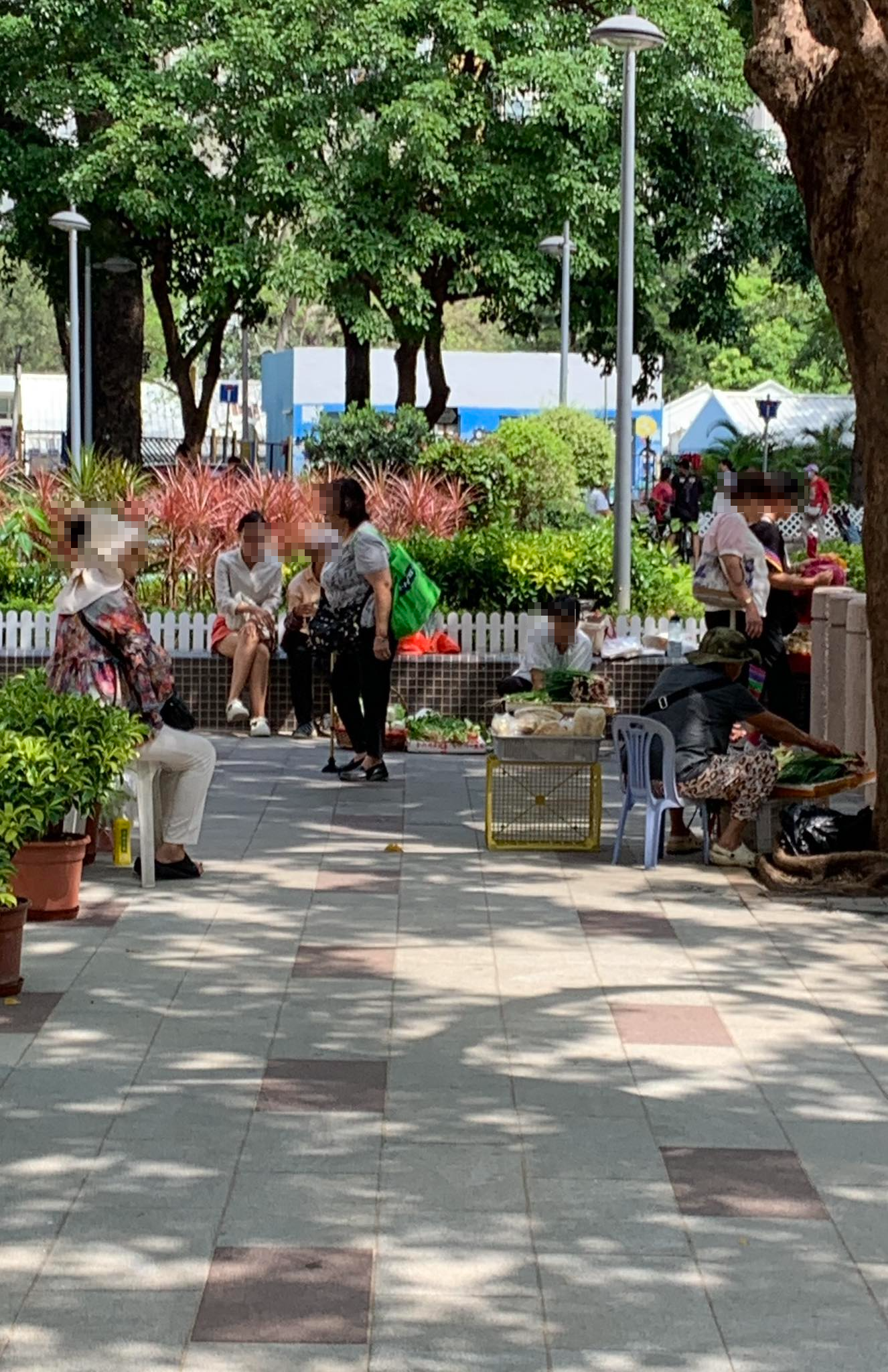 東張西望報料｜上水花園無牌小販霸地「非法經營」擺檔　市民報料：好離譜