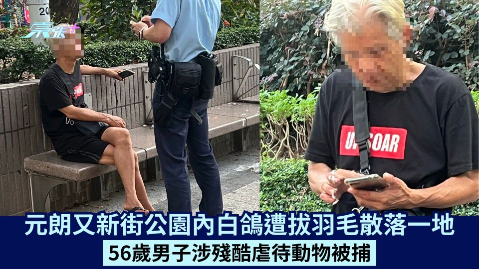元朗又新街公園內白鴿遭拔羽毛散落一地 56歲男子涉殘酷虐待動物被捕